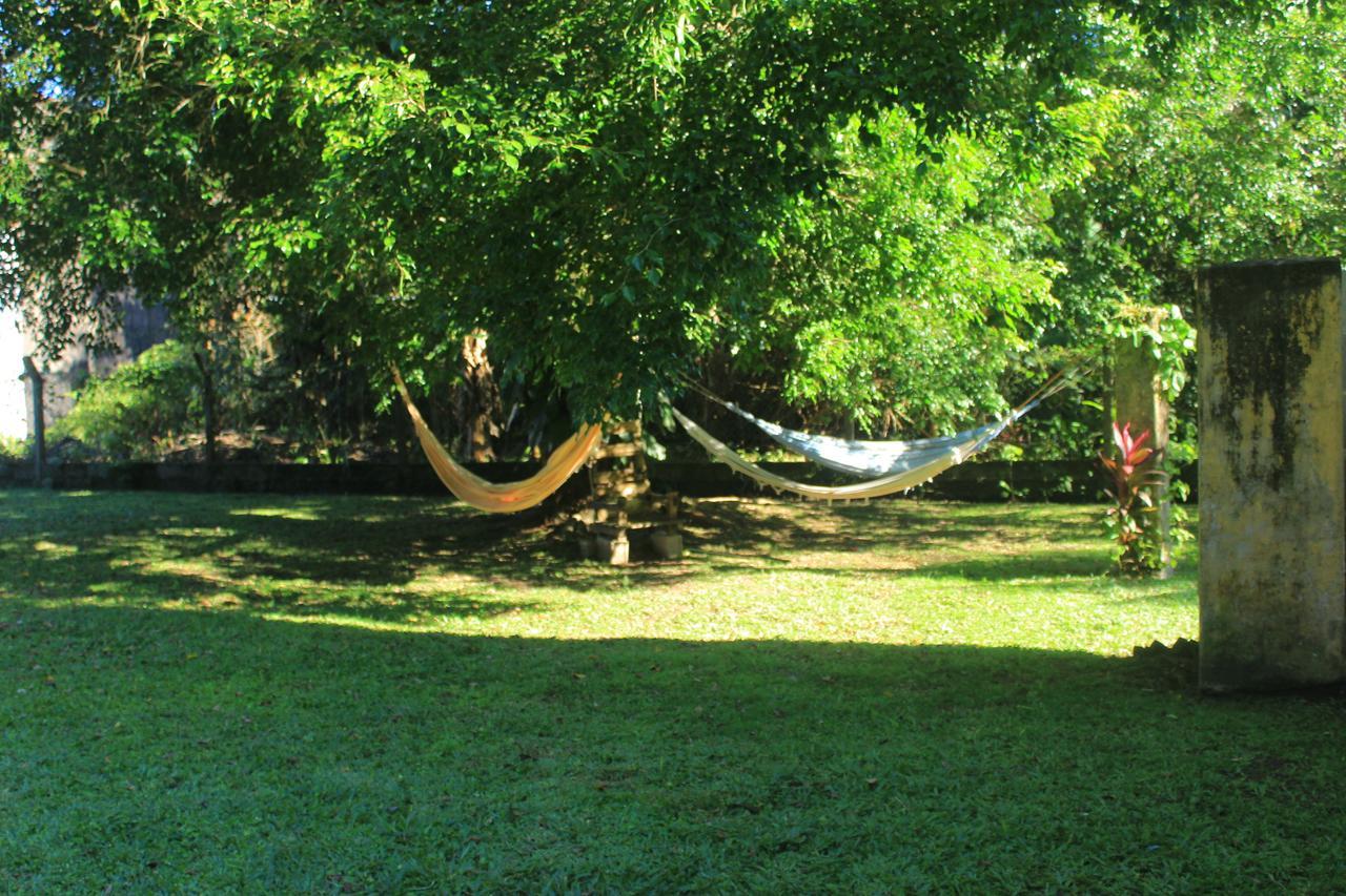 Junglez Eco Hostel Guarau Buitenkant foto